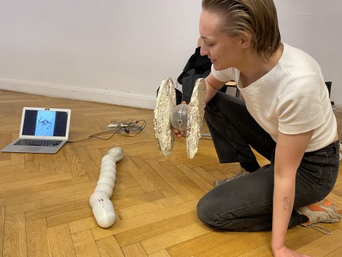 Jori presenting work in progress