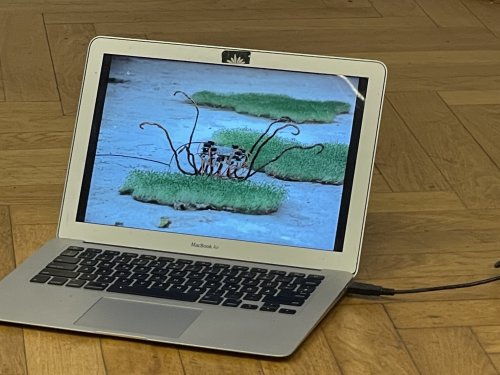 Jori presenting work in progress