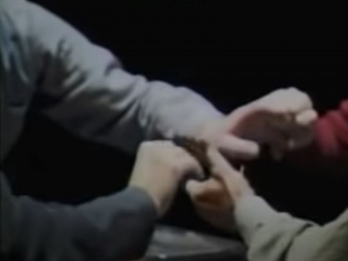 Erkki Kurenniemi, dimi-s (surnommé sexophone)