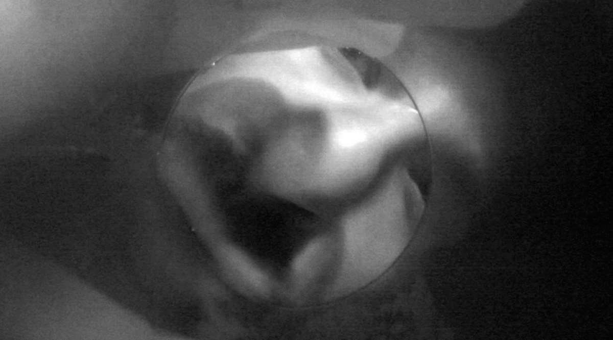 Video-still from The Discourse of the Drinkers by Annika Larsson (2017).