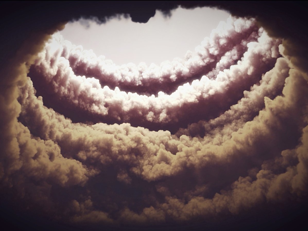 Annika Larsson, Fear of Flying (2020)