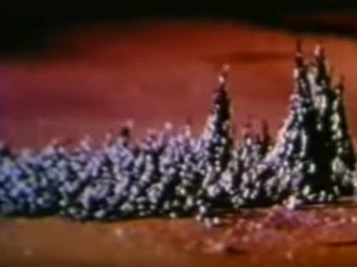 Hans Jenny, Cymatics