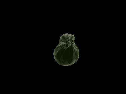 (E.I.) The blob developed together with Kiona Niehaus