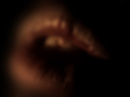 Somniloquies, 2017 (Lucien Castaing-Taylor und Verena Paravel)