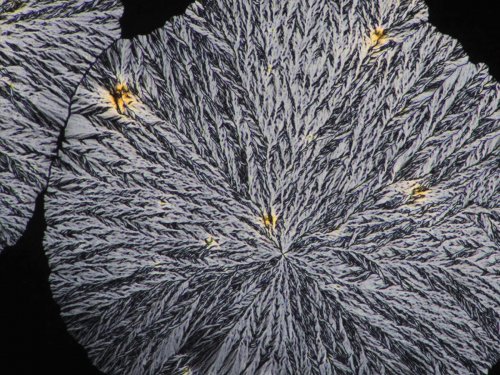 Anathema, 2011 (The Otolith Group)