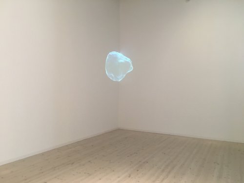 E.I. The blob at “Animalesque / Art Across Species and Beings” Bildmuseet Umeå, Sweden, 2019